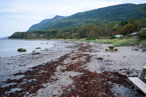 Saison,Été,Camping,Hébergement,MRC Haute-Gaspésie,Région,Sainte-Anne-Des-Monts,Le Sea Shack,Chalet,Eau,Plage,Bar,Club,Pub,Brasserie,Jour,Temps